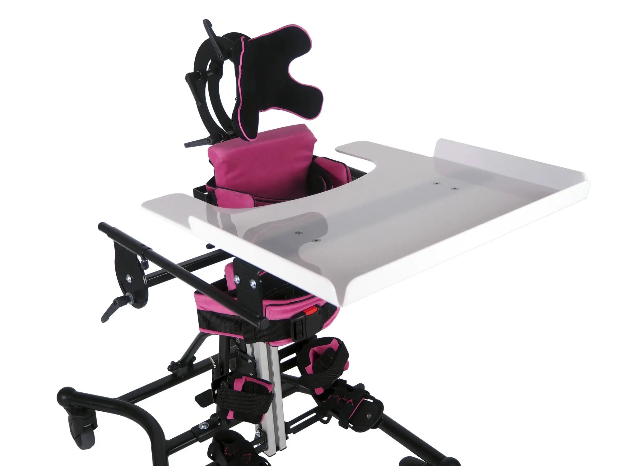 Lori Stander size Junior display $2,000